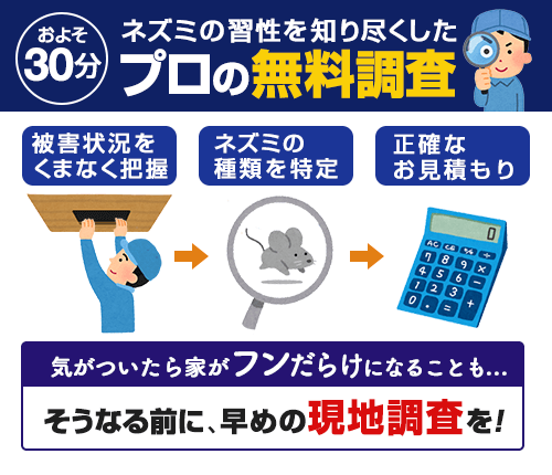 およそ30分でネズミの修正を知り尽くしたプロの無料調査を行います。被害状況の把握、ネズミの種類の特定、正確なお見積もりを行います。気がついたら家がフンだらけになっていることもあるので、早めの現地調査をおすすめします。