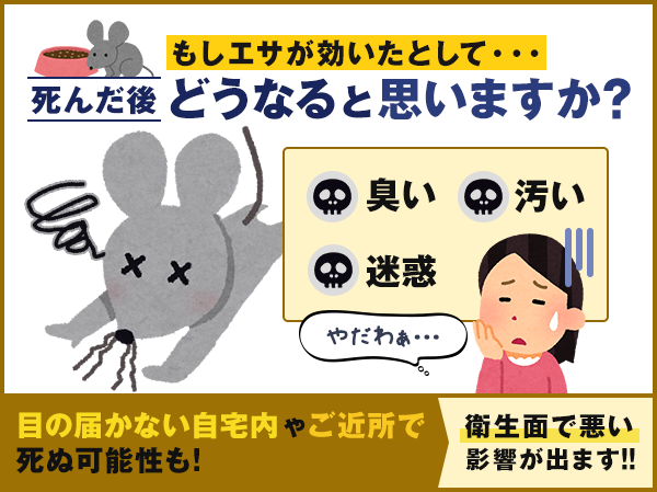 死んだ後もしエサが効いたとして・・・どうなると思いますか?ネズミの死体が腐って臭い・汚い。ご近所にも迷惑がかかる。目の届かない自宅内やご近所で 死ぬ可能性もあるので衛生面で悪い影響が出ます。