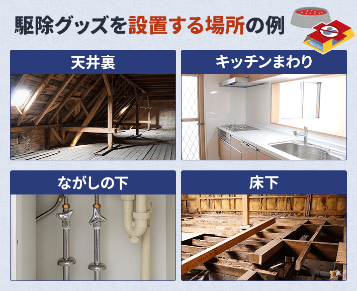 駆除グッズを設置する場所の例
