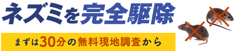 ネズミを駆除。まずは30分の無料現地調査から
