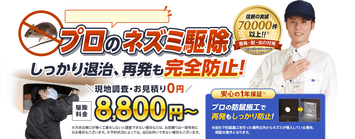 信頼の実績70,000件以上のプロの作業員が、天井裏・台所・床下などにいるネズミを徹底的に駆除します。駆除料金8,800円〜。気持ち悪かったガサガサした物音や、ネズミのフンとさよならしました。