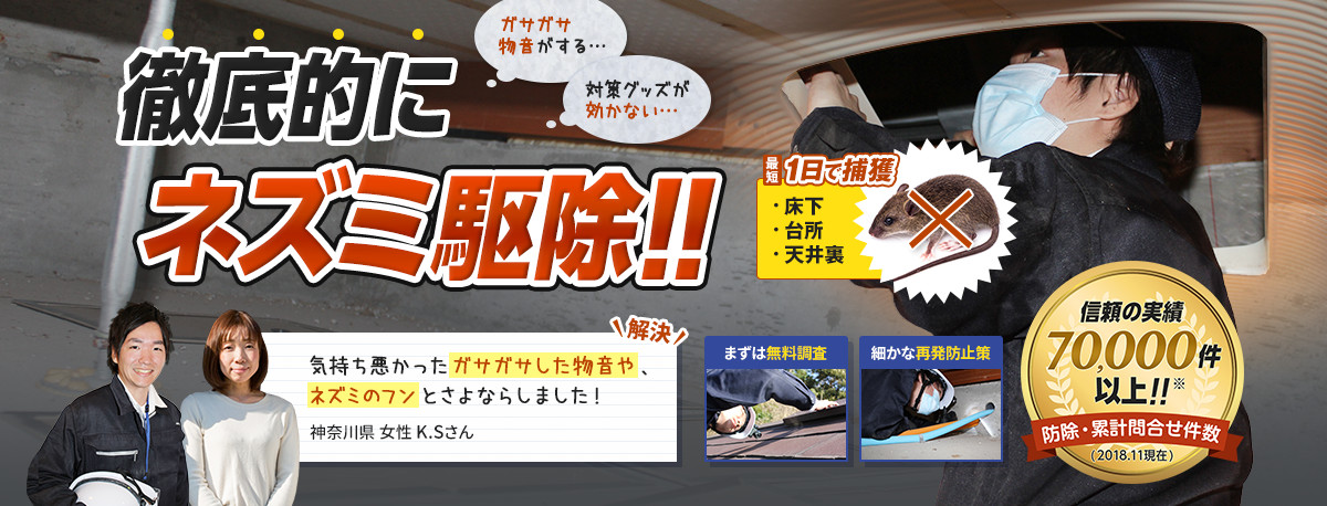 信頼の実績70,000件以上のプロの作業員が、徹底的にネズミを駆除します。気持ち悪かったガサガサした物音や、ネズミのフンとさよならしました。