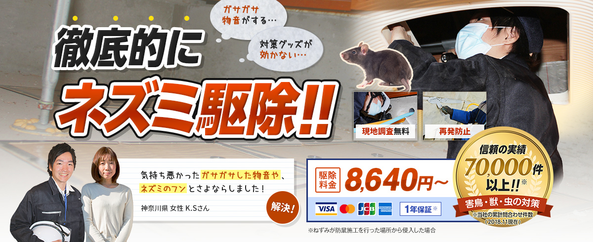 信頼の実績70,000件以上のプロの作業員が、徹底的にネズミを駆除します。駆除料金8,640円〜。気持ち悪かったガサガサした物音や、ネズミのフンとさよならしました。