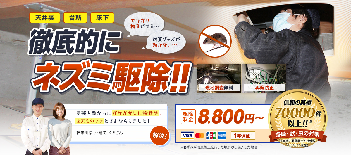 信頼の実績70,000件以上のプロの作業員が、天井裏・台所・床下などにいるネズミを徹底的に駆除します。駆除料金8,800円〜。気持ち悪かったガサガサした物音や、ネズミのフンとさよならしました。