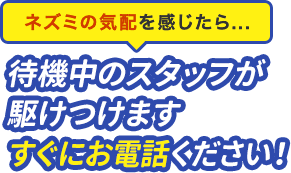 現地調査・お見積りは無料です。当日対応もOK。7時〜24時まで年中無休で受け付けています。