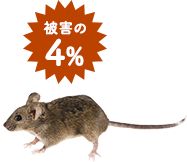 被害の4%