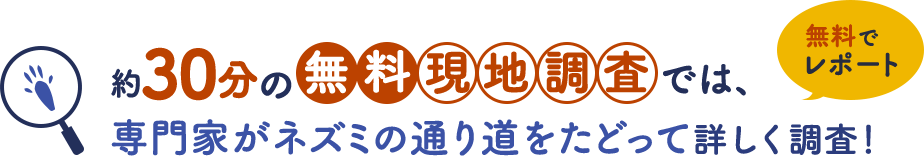 約30分の無料現地調査では、専門家がネズミの通り道をたどって詳しく調査します。