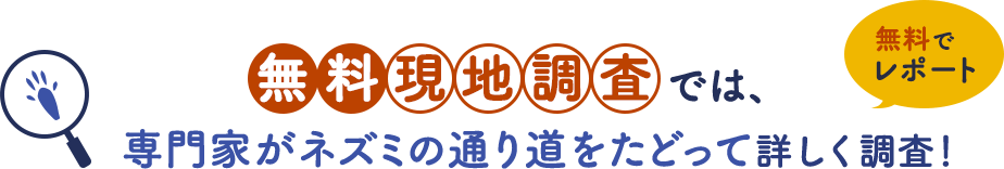 無料現地調査では、専門家がネズミの通り道をたどって詳しく調査します。
