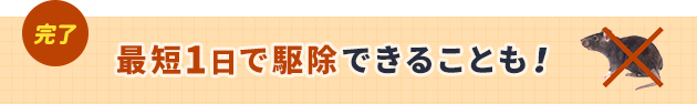 最短1日で駆除できることも。