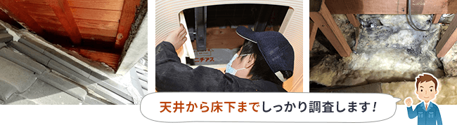 天井から床下までしっかり調査します