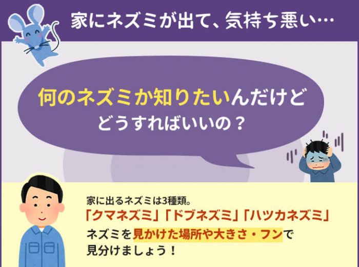 ネズミの種類は場所・大きさ・フンで分かる！特徴と見分け方を解説