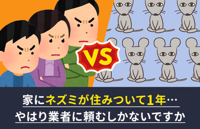 家にいるネズミの寿命はいつですか 放っておけば死にますか みんなのネズミ駆除屋さん