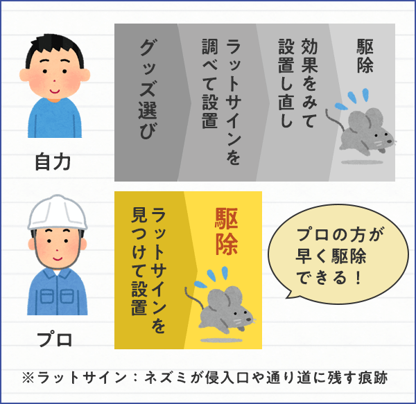 ネズミ駆除業者はこう選ぶ ちゃんとした業者の選び方と費用の目安 みんなのネズミ駆除屋さん