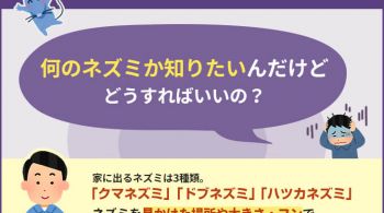 ネズミの種類は場所・大きさ・フンで分かる!特徴と見分け方を解説