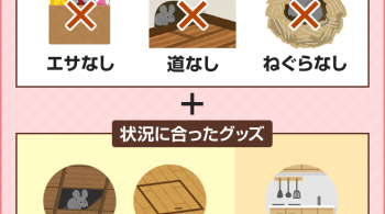 プロが教えるネズミ駆除! 駆除方法や侵入対策を、屋根裏・台所など場所ごとに解説