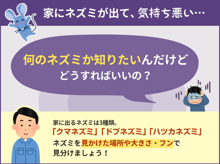 家にネズミが出て気持ち悪い。何のネズミか知りたいんだけどどうしたらいい。